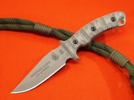 pfs01
